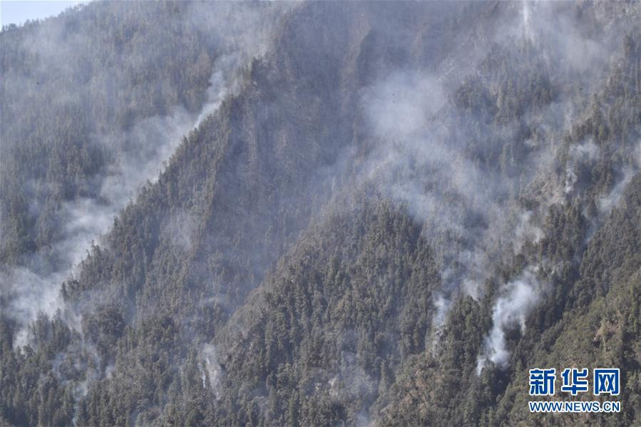 猫与桃花源   语