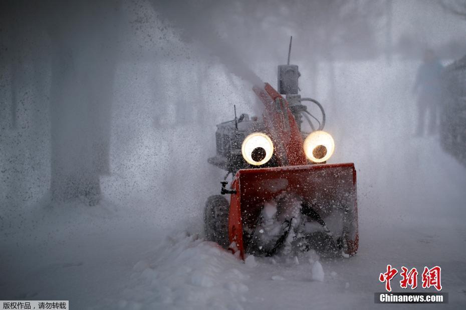 小树的心思漫画