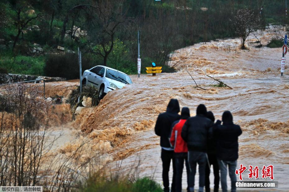 《海贼王第890集》在线观看