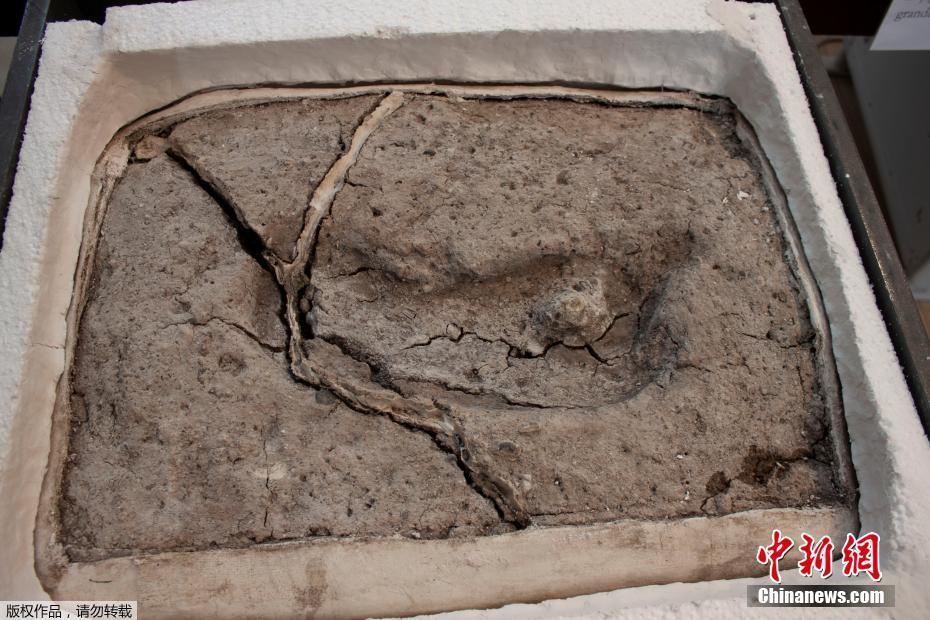 同人：约会大作战datealive ex章节（3） ast存亡战 第一节