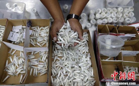 《海贼王第890集》在线观看