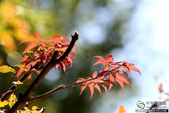 备受关注的死神230模型，设计与工艺究竟有多出色？