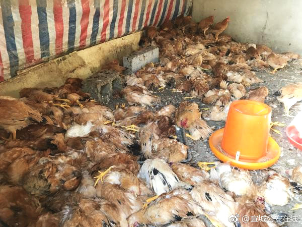 影视作品中万人迷反派为何更吸睛？如何塑造有魅力反派？