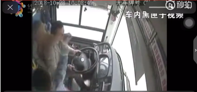 异世界搞笑冒险番为何吸引人？独特设定与反差角色是关键