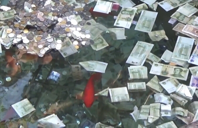 《海贼王第890集》在线观看