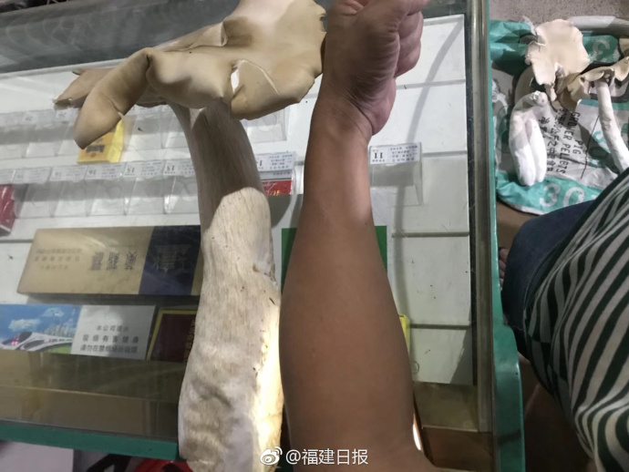 阅站漫画：资源丰富更新快，免费福利多，阅读体验超棒