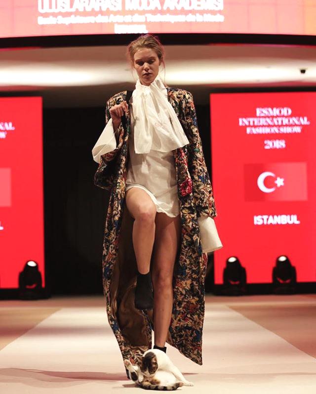 哔哩哔哩隐藏内容怎么找？特殊标签与搜索技巧是关键