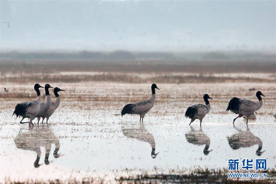 异世界搞笑冒险番为何吸引人？独特设定与反差角色是关键