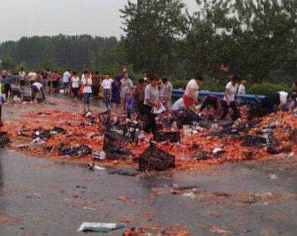 阅站漫画app最新版：免费搜索全网漫画，畅享多种便捷阅读体验