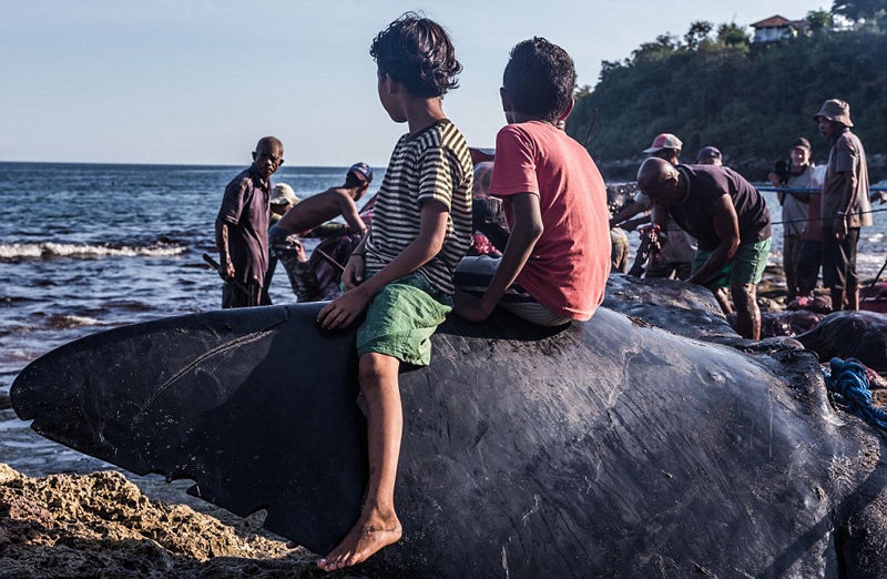 阅站漫画app最新版：免费搜索全网漫画，畅享多种便捷阅读体验