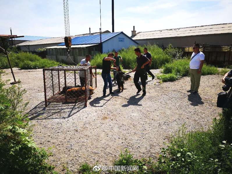 哔哩哔哩隐藏内容怎么找？特殊标签与搜索技巧是关键