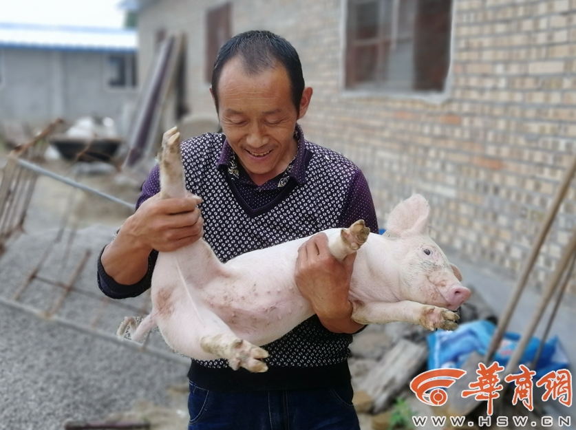 免费漫画阅站app下载安装无广告，畅享丰富漫画资源