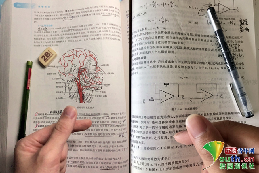 免费漫画阅站app下载安装无广告，畅享丰富漫画资源