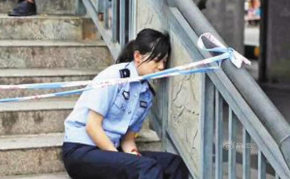 《海贼王第890集》在线观看