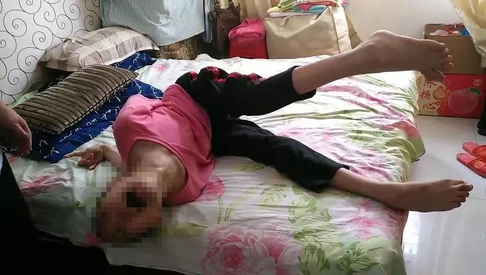 重生一梦免费观看下拉漫画