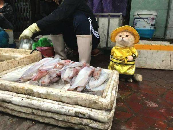 绝世唐门之极致剑仙小说