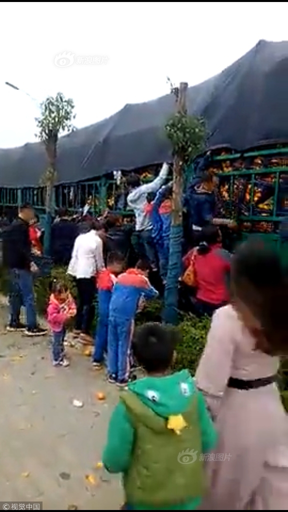 笔趣阁手机版：优质小说阅读软件，类型全且可自由查找