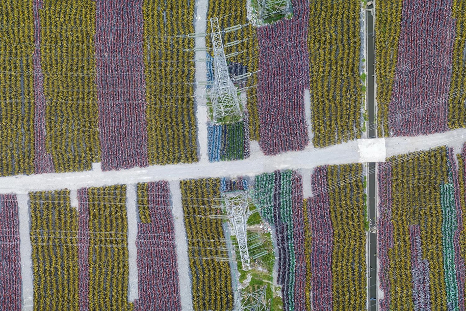 笔趣阁手机版：优质小说阅读软件，类型全且可自由查找