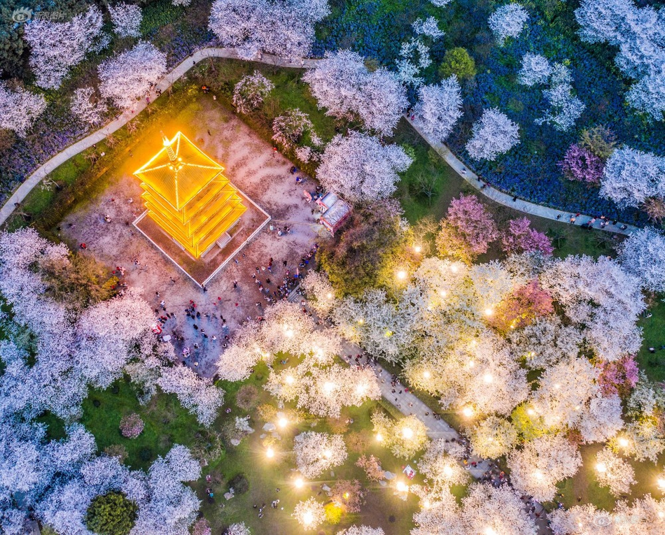 斗罗大陆2绝世唐门全集在线观看