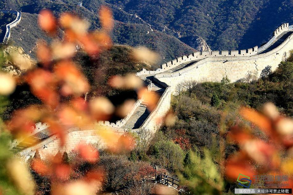 缘之空借兄妹情纠葛引发思索,为何对兄妹恋情描绘引争议?