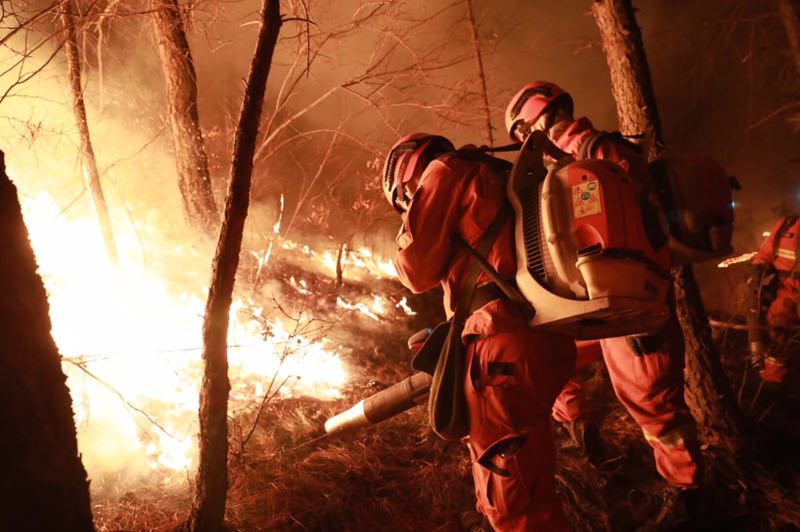 斗罗大陆2动漫在线观看完整版免费