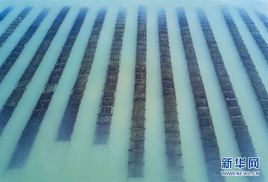 娇宠田园山里汉别太宠