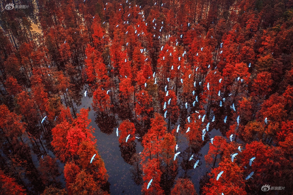 缘之空借兄妹情纠葛引发思索，为何对兄妹恋情描绘引争议？