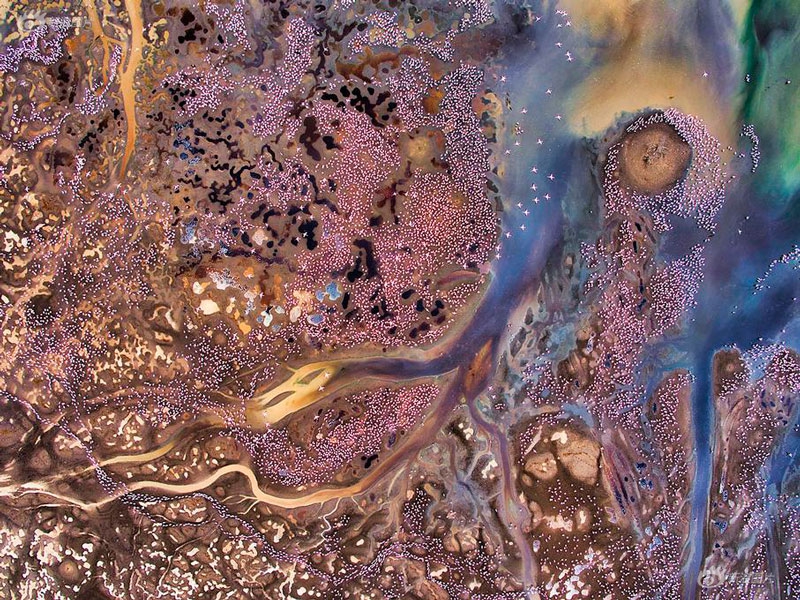 斗破苍穹老粉必看！正版免费观看渠道及支持正版的意义