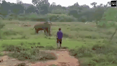 《海贼王第890集》在线观看