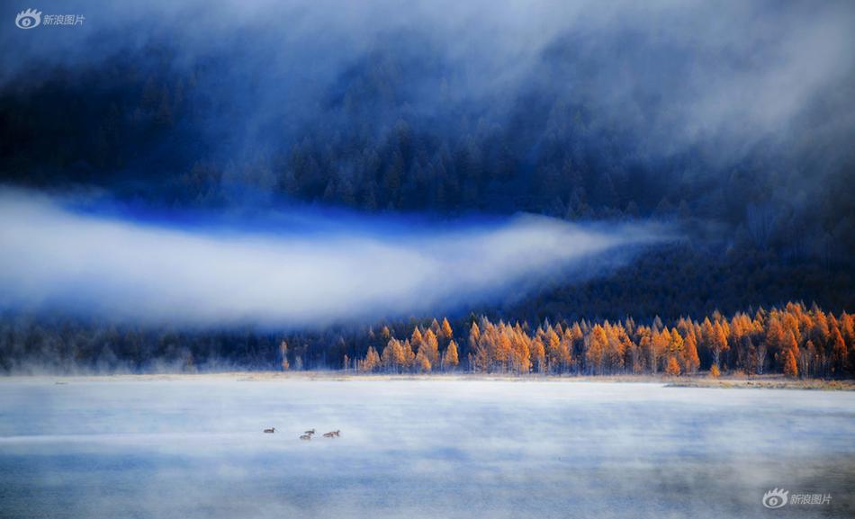 网络文学爱好者必读！新笔趣阁现状及使用建议大揭秘？