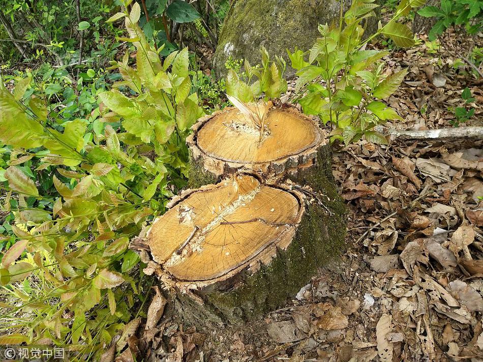 国漫最美女主排名