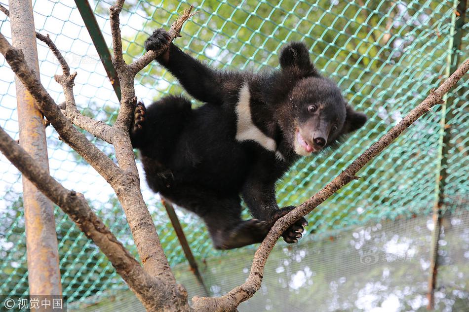 缘之空借兄妹情纠葛引发思索，为何对兄妹恋情描绘引争议？