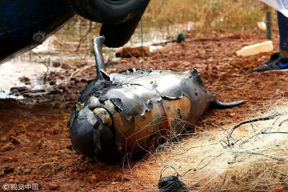 《海贼王第890集》在线观看