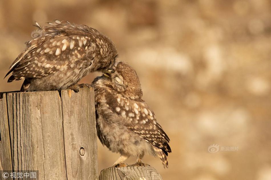 同人：约会大作战datealive ex章节（3） ast存亡战 第一节
