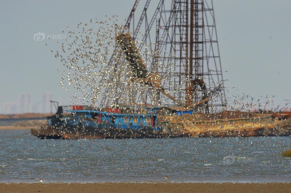 阅站漫画：资源丰富更新快，免费福利多，阅读体验超棒