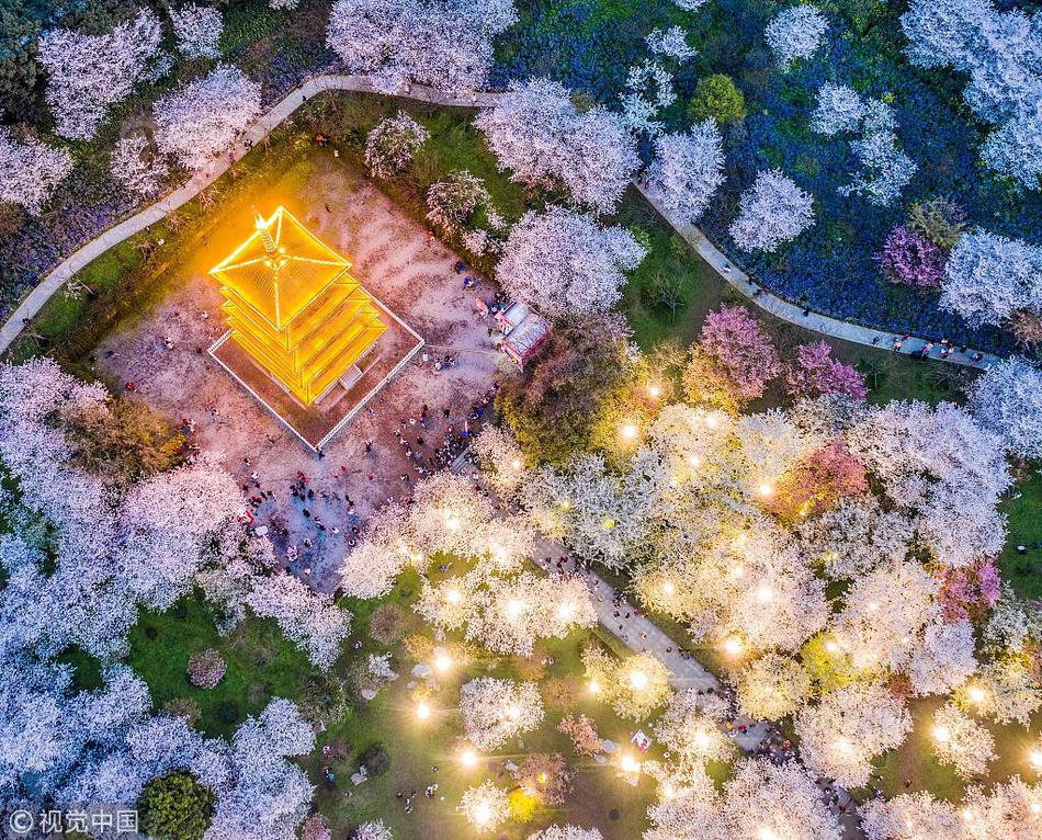 我的漫画老师50个字