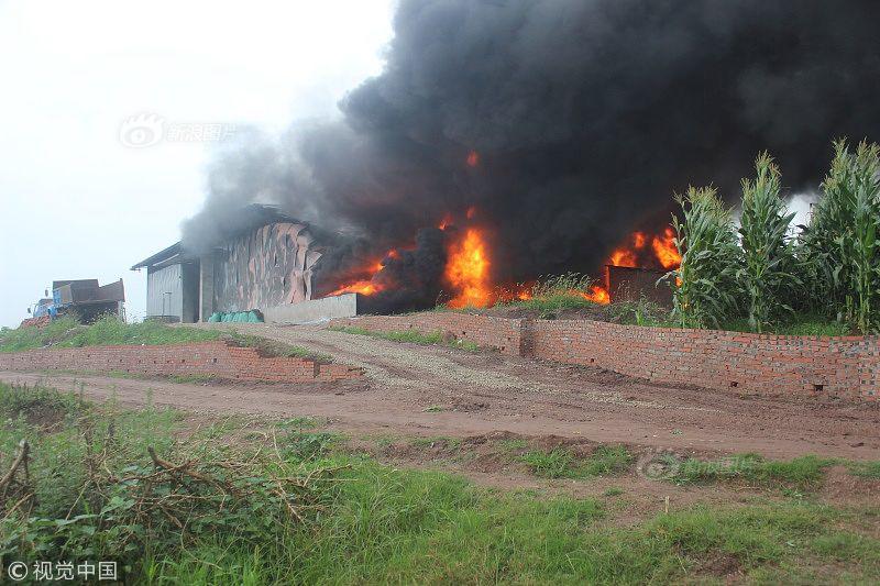 斗破苍穹老粉必看！正版免费观看渠道及支持正版的意义