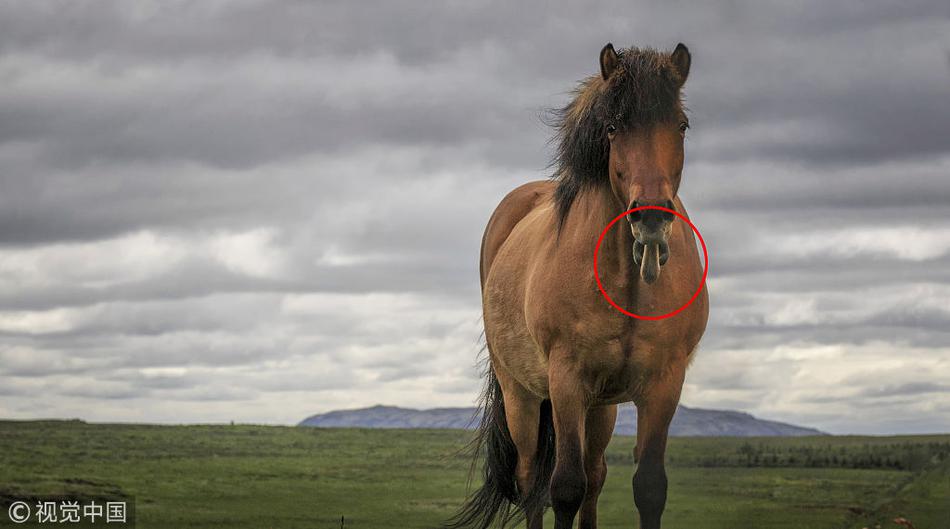 动漫女头哭泣强颜欢笑