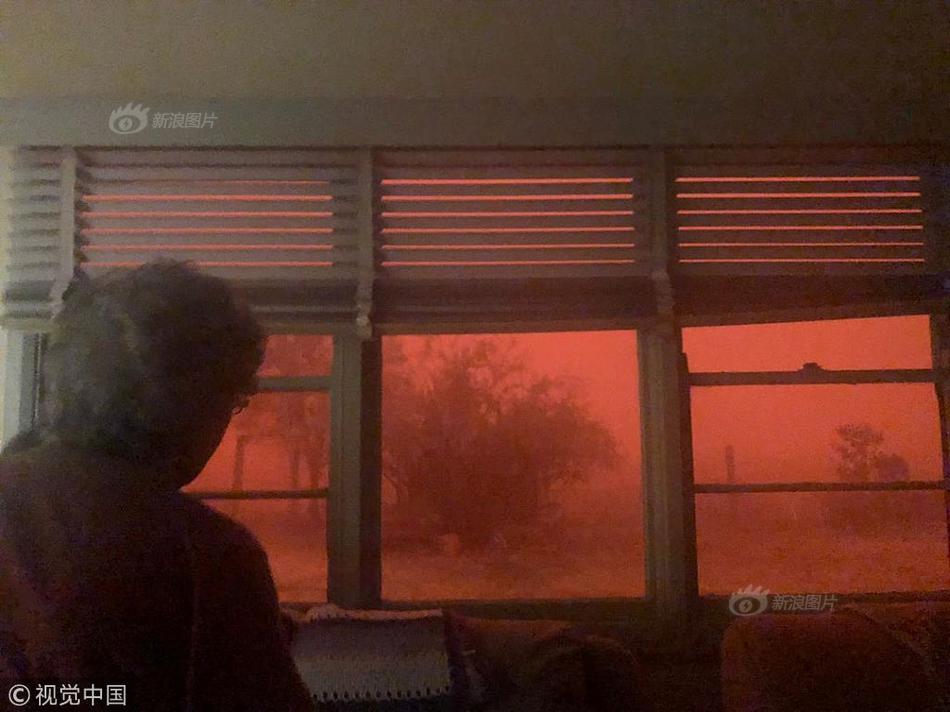 《海贼王第890集》在线观看