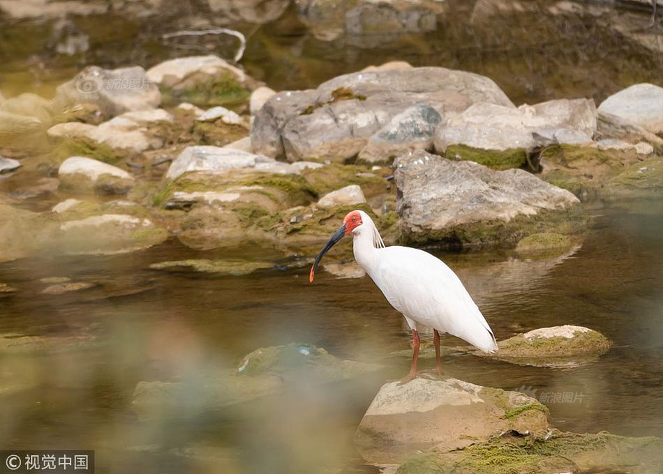 阅站漫画app最新版：免费搜索全网漫画，畅享多种便捷阅读体验