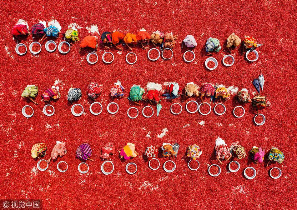 重生八万年小说全文下载