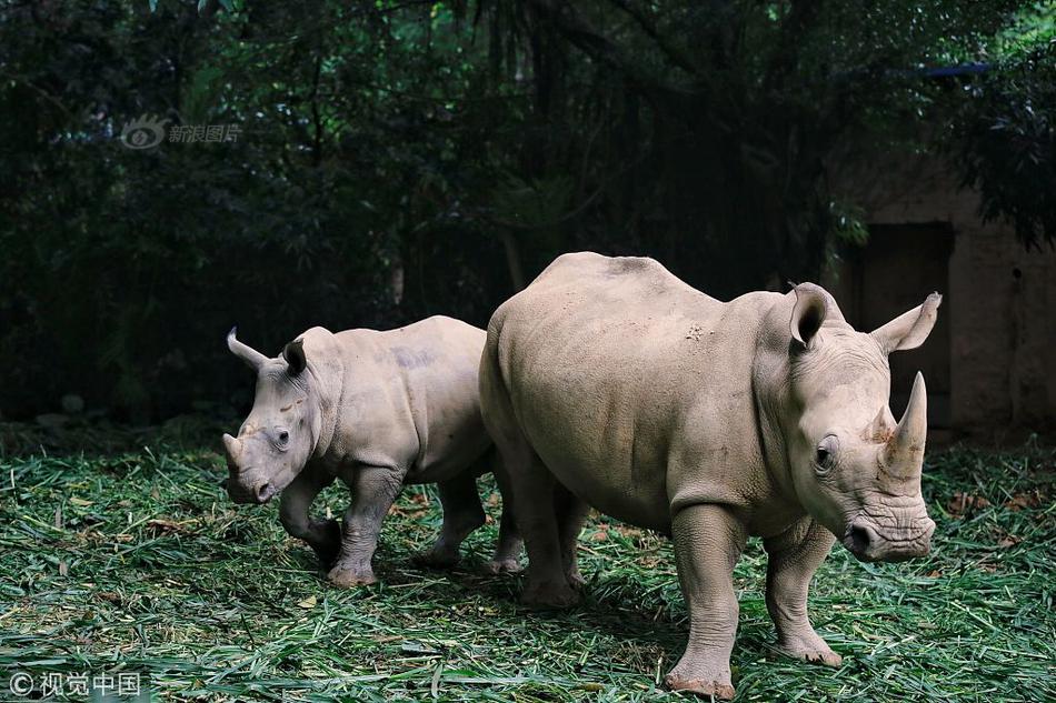 网络文学爱好者必读！新笔趣阁现状及使用建议大揭秘？