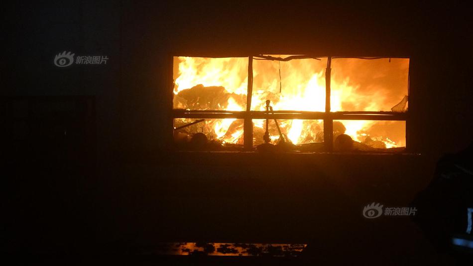 免费漫画阅站app下载安装无广告，畅享丰富漫画资源