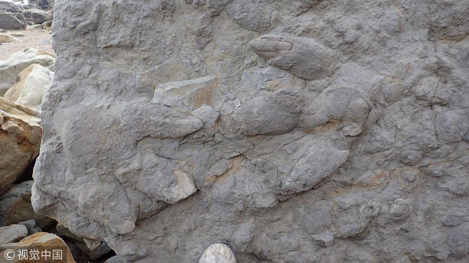 哔哩哔哩隐藏内容怎么找？特殊标签与搜索技巧是关键