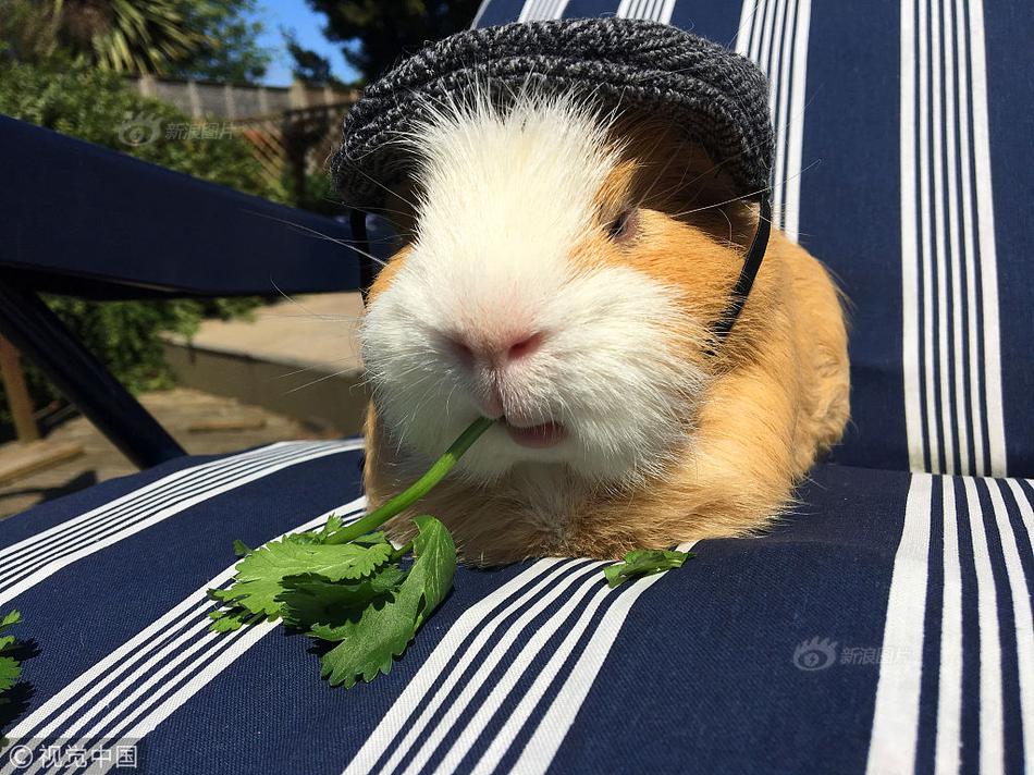 免费在线可阅读漫画成首选，却面临凯发k8国际首页登录的版权等难题待剖析？