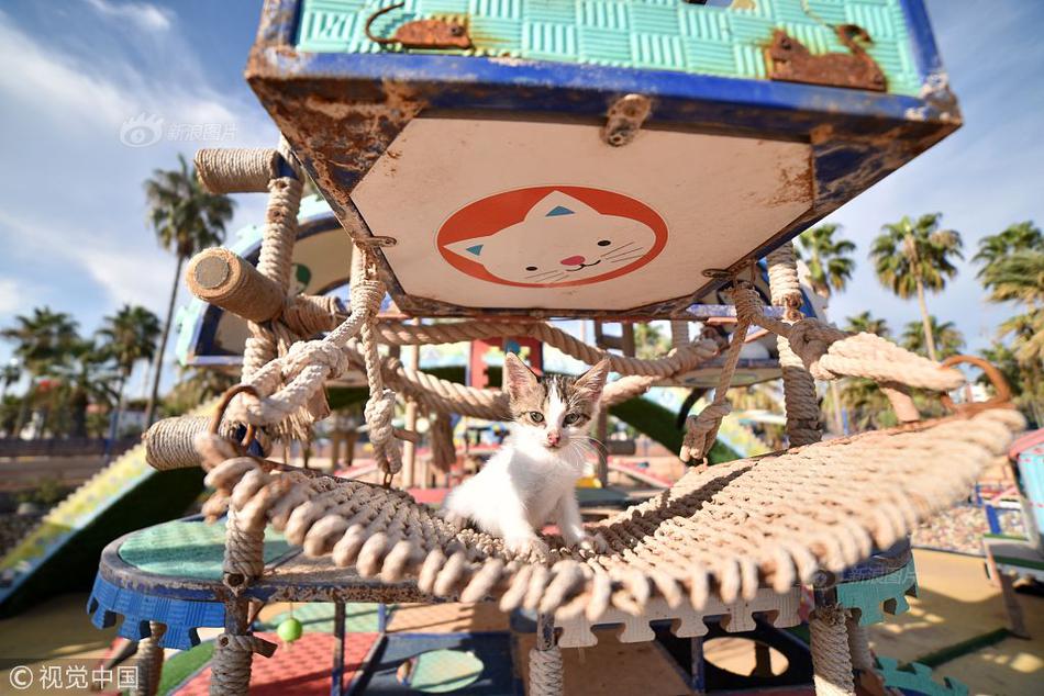 哔哩哔哩隐藏内容怎么找？特殊标签与搜索技巧是关键