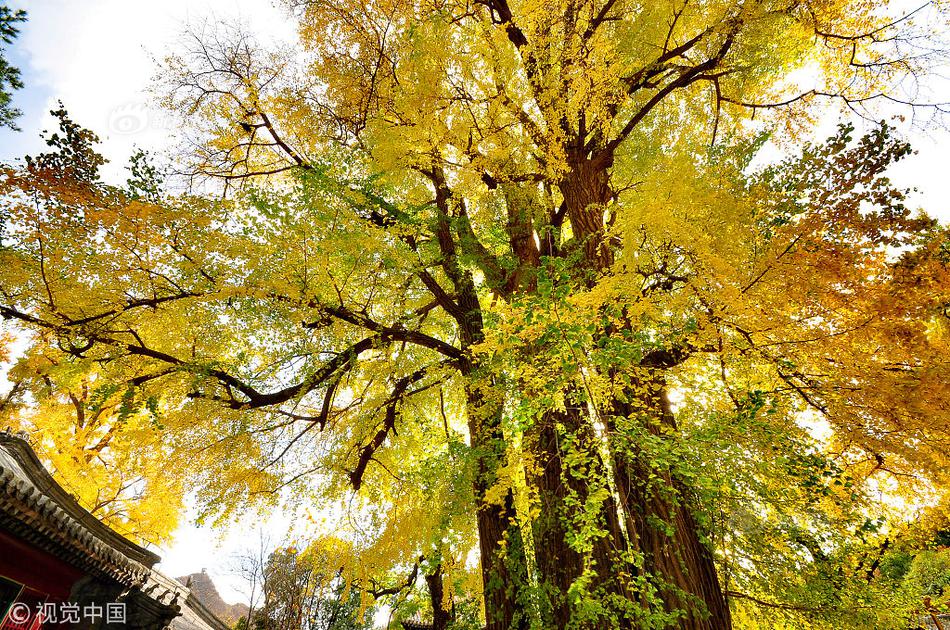 免费在线可阅读漫画成首选，却面临凯发k8国际首页登录的版权等难题待剖析？