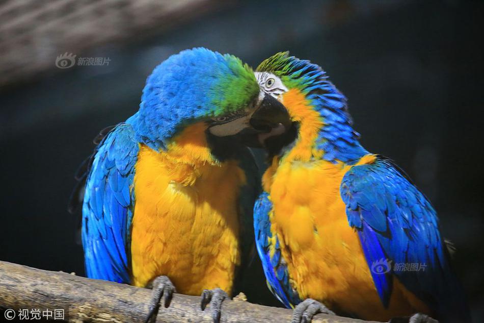 异世界搞笑冒险番为何吸引人？独特设定与反差角色是关键