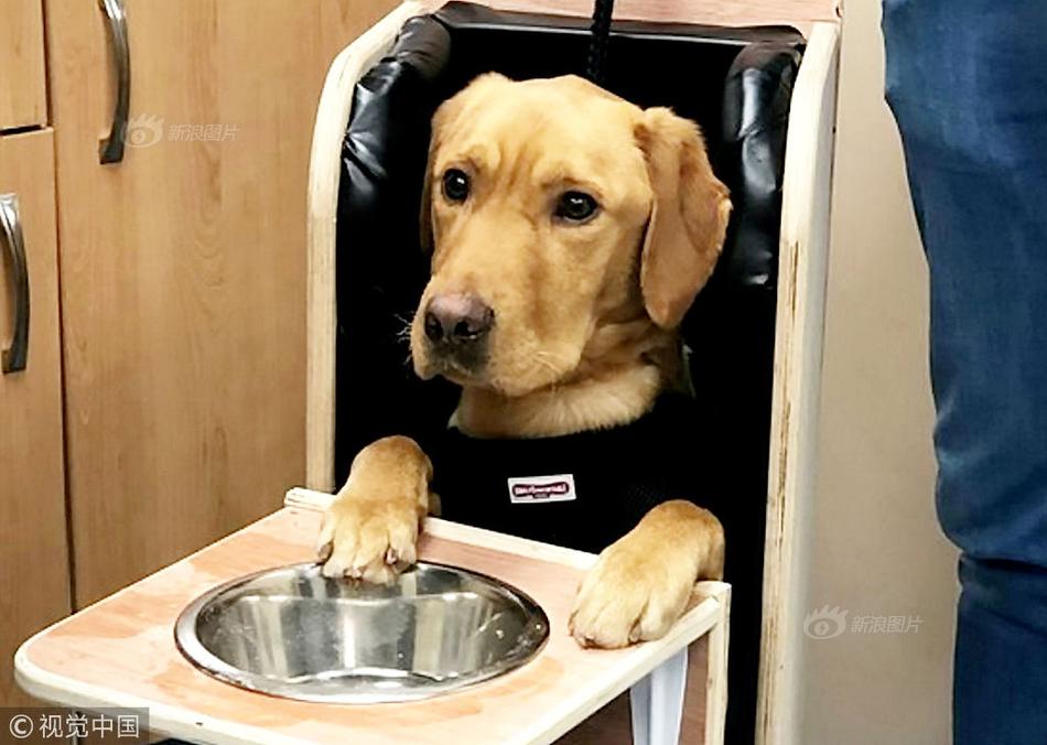 《海贼王第890集》在线观看