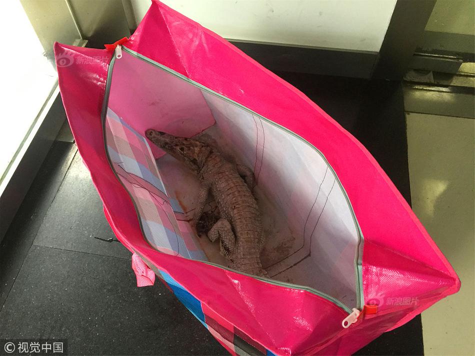 终极斗罗漫画免费观看土豆